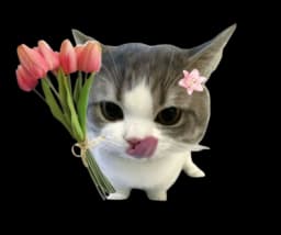 Decorative princess illustration